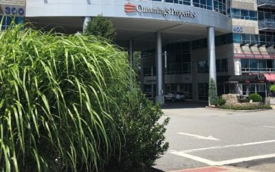 Beautiful day at the office ️