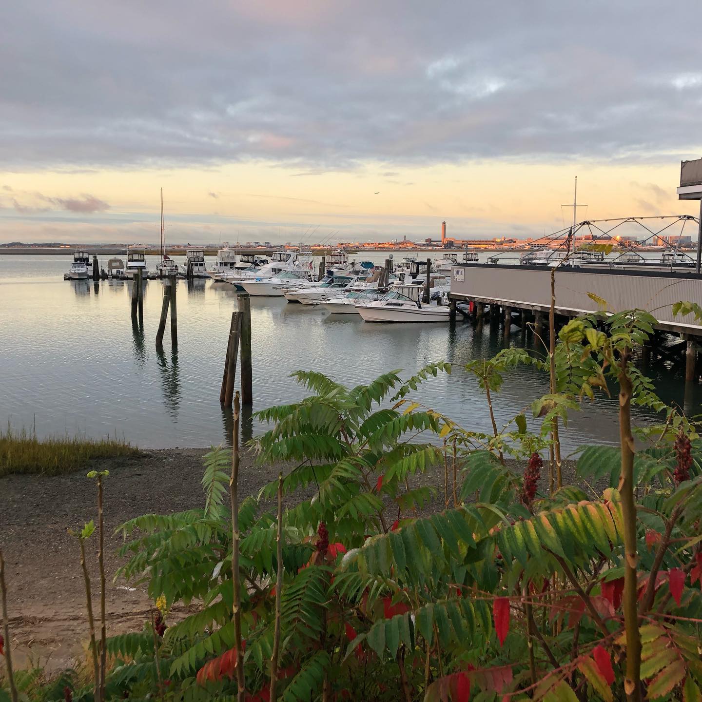 Rise and shine, it’s networking time!! Good morning, from East Boston 🌤