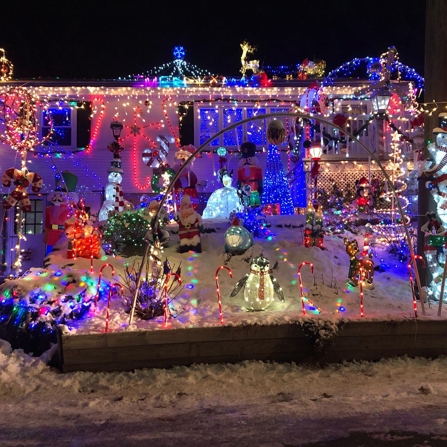 Festive neighbors in Woburn!