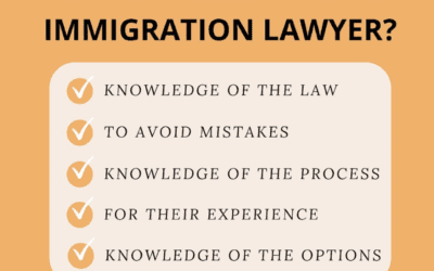 Why Hire an Immigration Lawyer?
