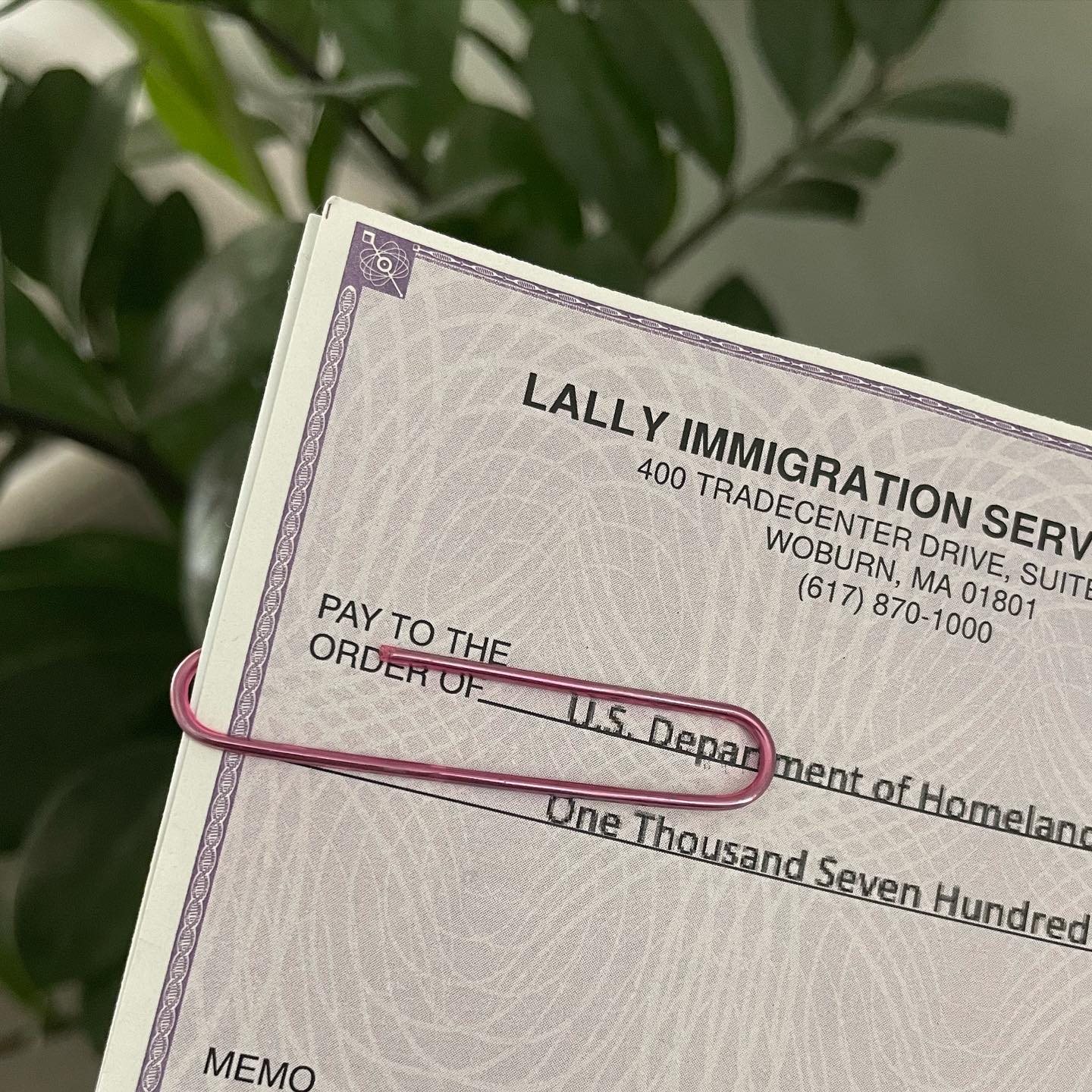 Immigration Lawyer