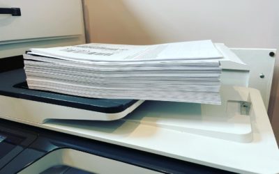 Request for Evidence (“RFE”)