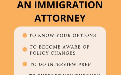 Why Hire an Immigration Lawyer?