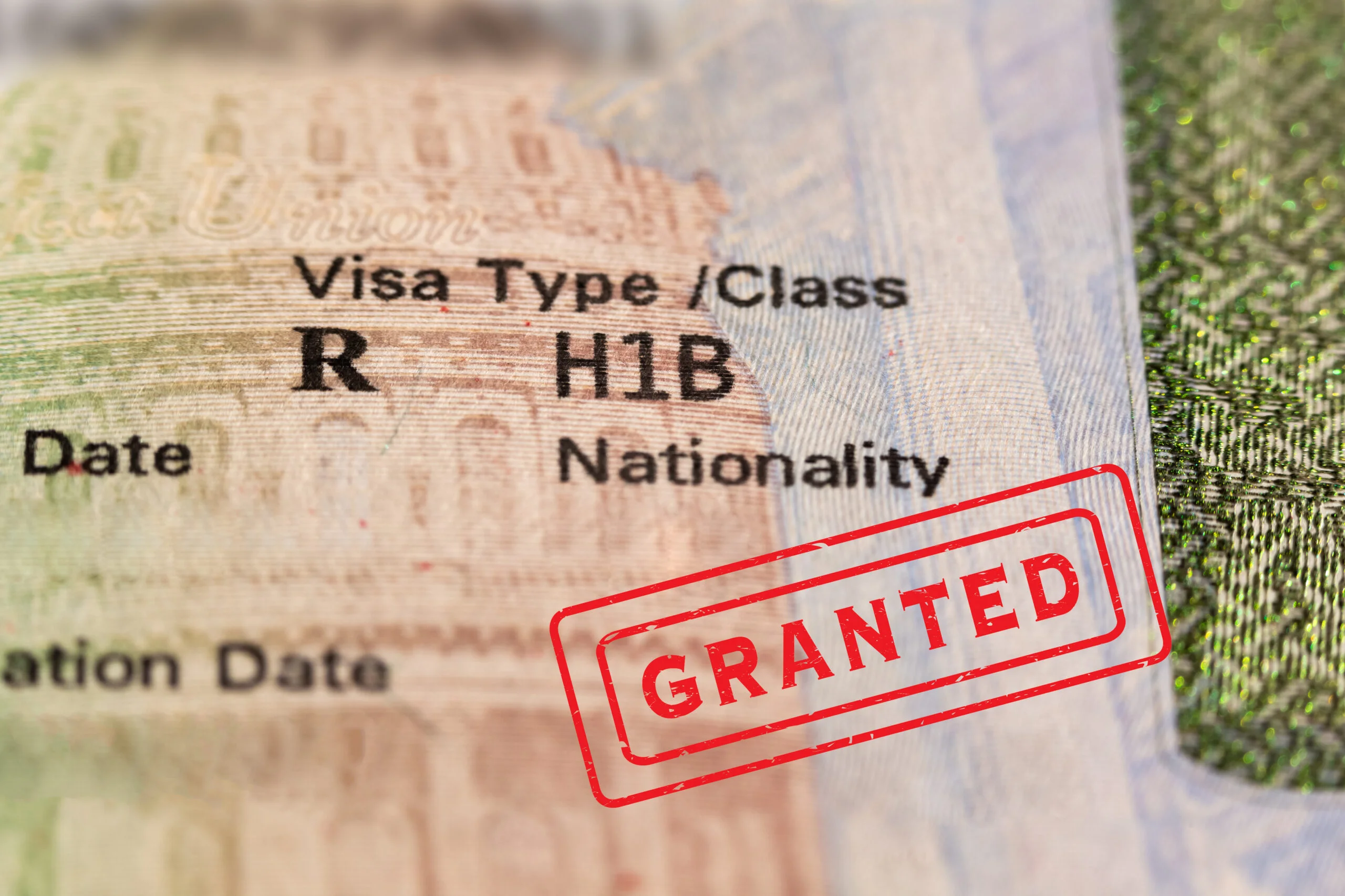 H-1B Visa Lawyer - Dayna Lally