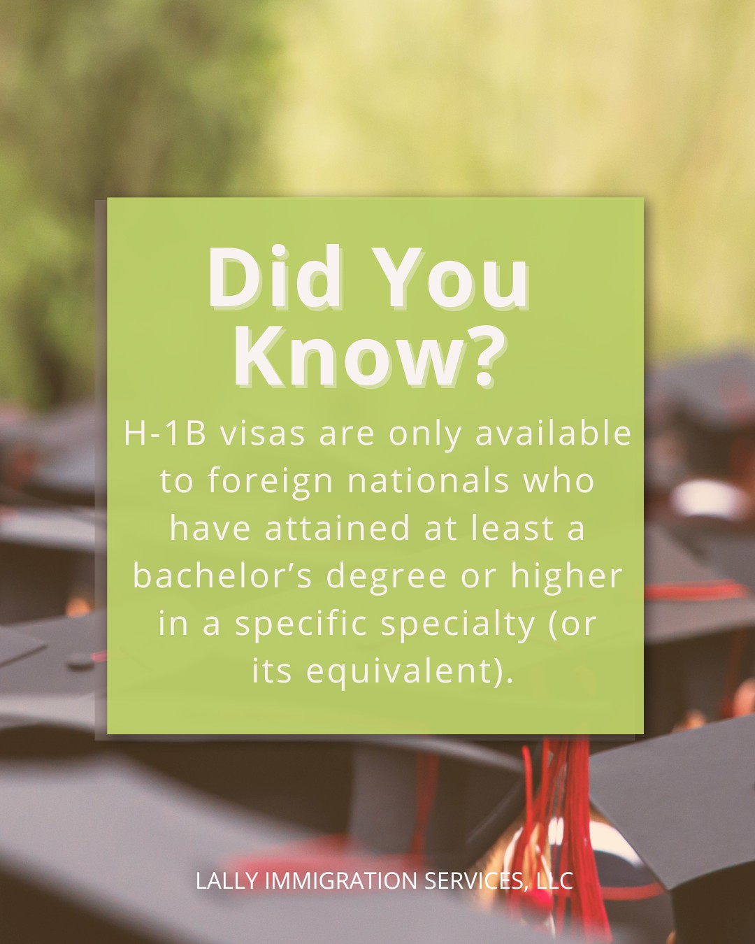 What are H-1B Visas?